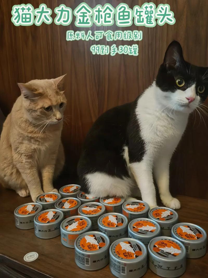 猫咪的美食盛宴，揭秘它们为何对罐头情有独钟