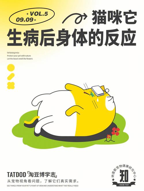 猫咪呼吸急促，警惕可能的健康危机