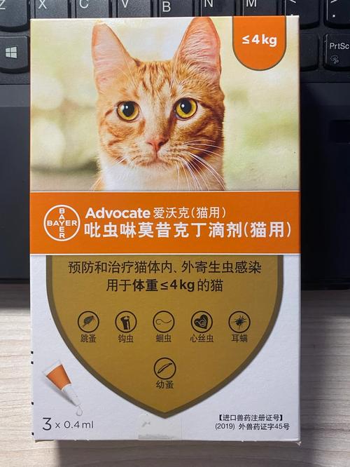 猫咪体内体外驱虫，为毛茸伙伴健康护航