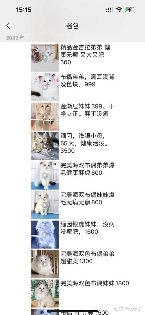 猫咪突然老咬人？这可能是它们在说我爱你