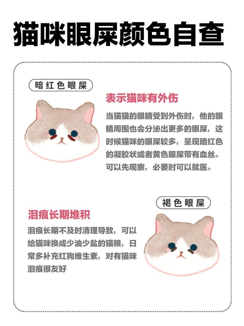 猫咪眼疾治疗全攻略