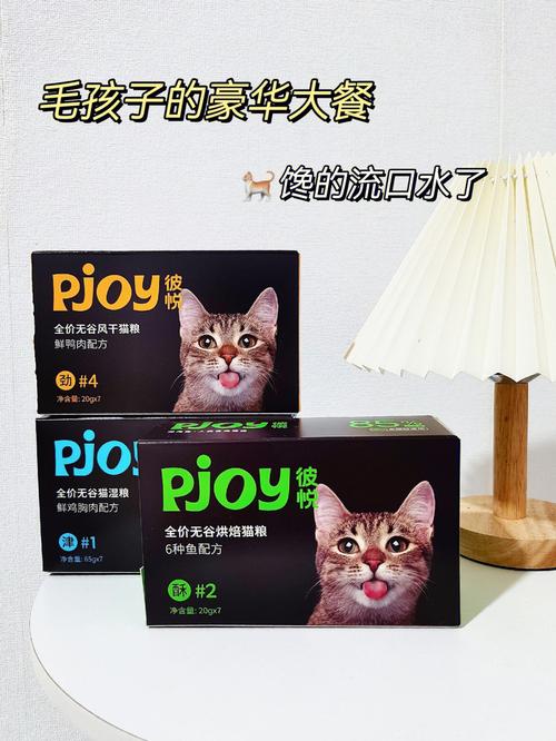 猫咪流涎的秘密，了解你的毛孩子