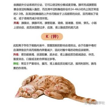 猫咪溶血，了解症状与应对策略