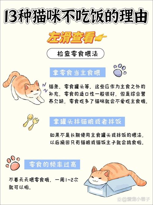 猫咪成长中的饮食习惯，了解它们何时开始独立进食