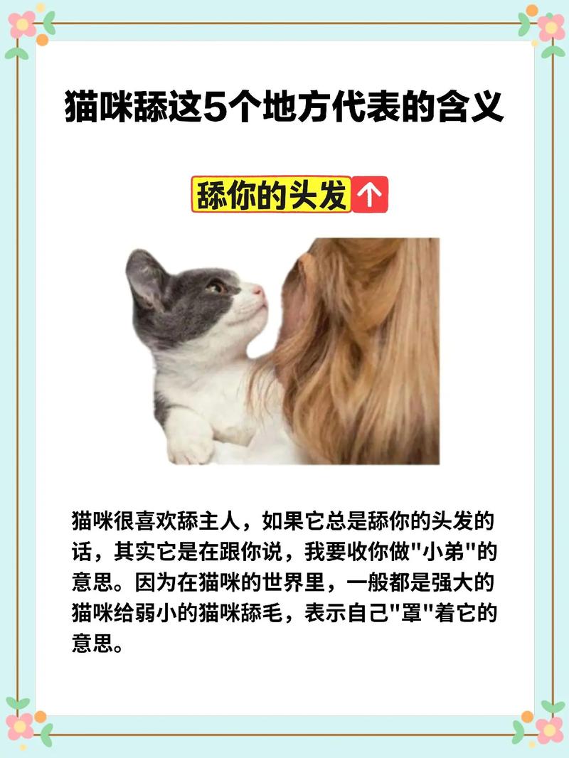 猫咪为何总喜欢舔墙壁？