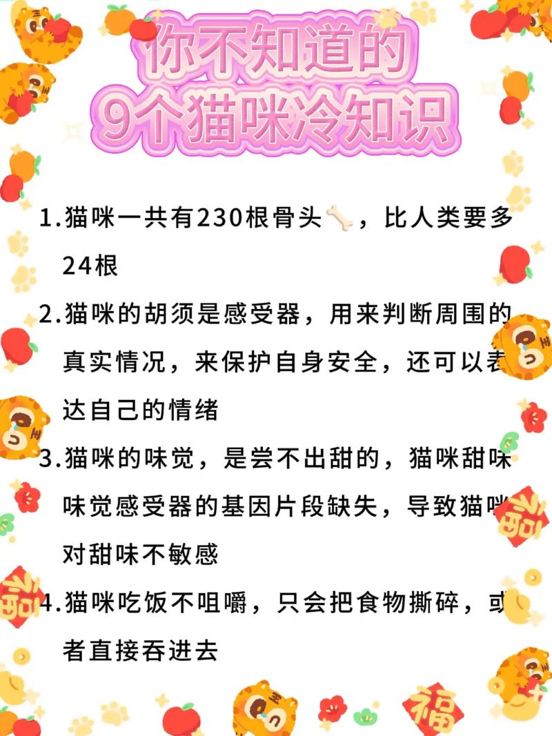 猫咪的神秘世界，10个你可能不知道的趣味小知识