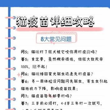 猫咪打疫苗，全攻略——护航毛孩子健康成长的必经之路