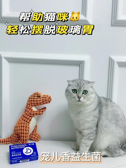 猫咪的保定技巧，轻松驾驭你的小毛团