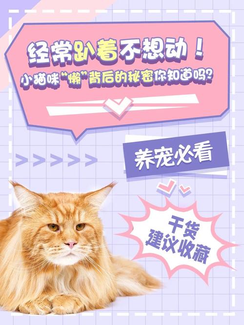 猫咪拒食嗜睡，潜在健康问题的警钟