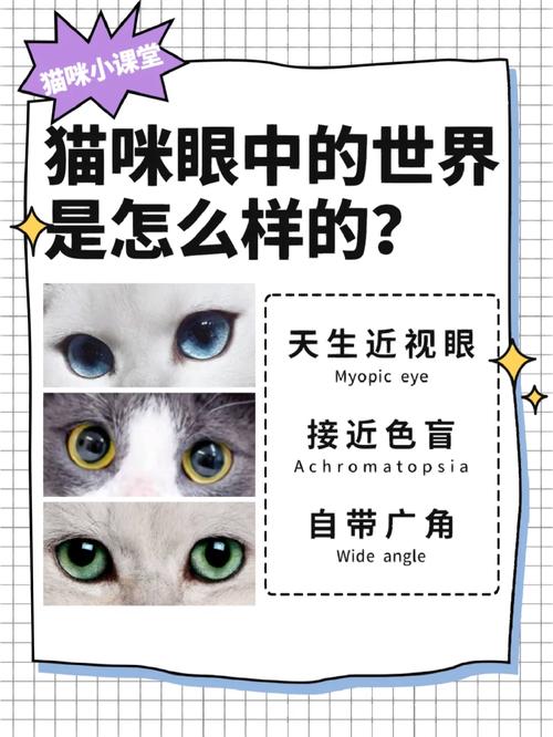 探索猫咪世界里的星级秘密，揭秘猫咪粪便等级表