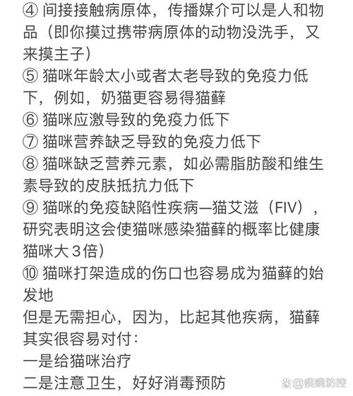 猫咪真的不会传染给人类疾病