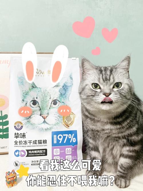 猫咪能否大快朵颐蚂蚁？