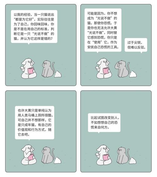 猫咪的小手哲学，揭秘它们为何总是爱动手