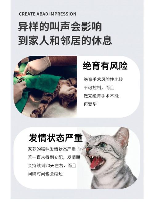 猫咪心情舒缓剂，为毛你还需要猫咪情绪药方？