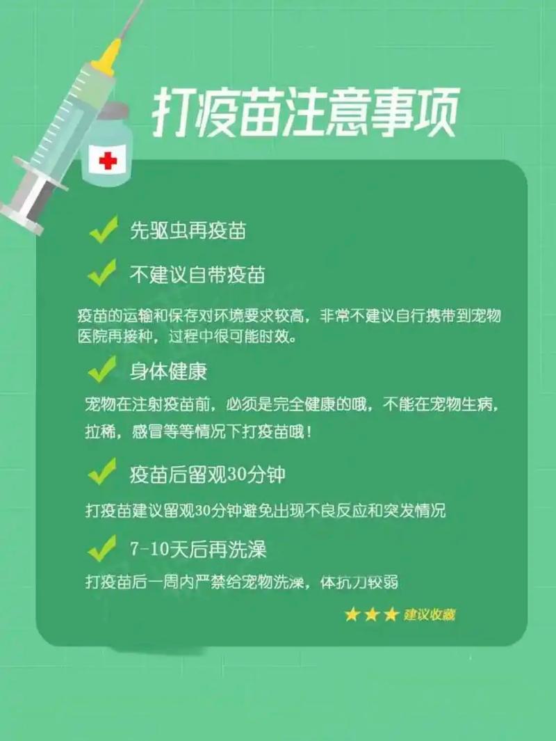 猫咪疫苗全反应，了解常见不良反应与注意事项