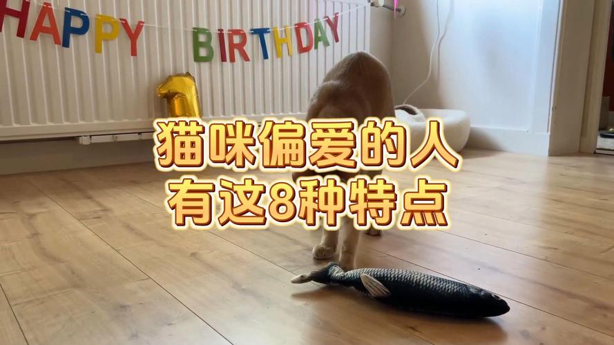 猫咪偏爱的旋律，揭秘它们钟情的音乐类型