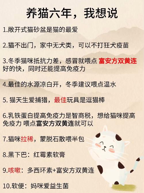 猫咪感冒，恢复时间与照顾要点