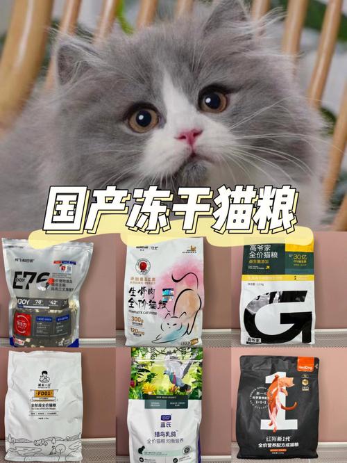 猫咪可以享用白糖吗？揭秘猫粮与甜食的平衡之道