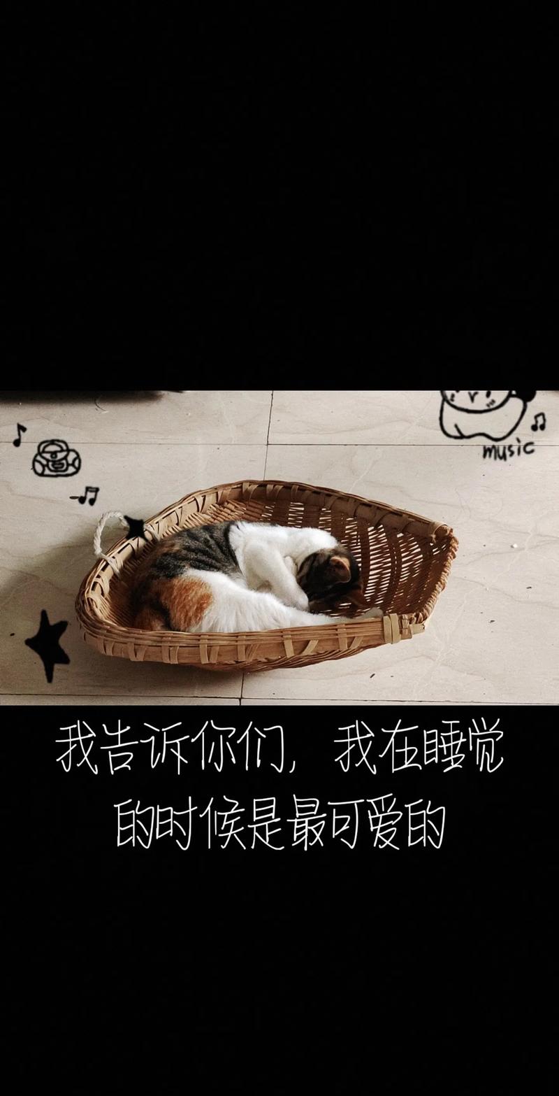 猫咪睁开新世界之门，揭秘幼猫睁眼时间的秘密