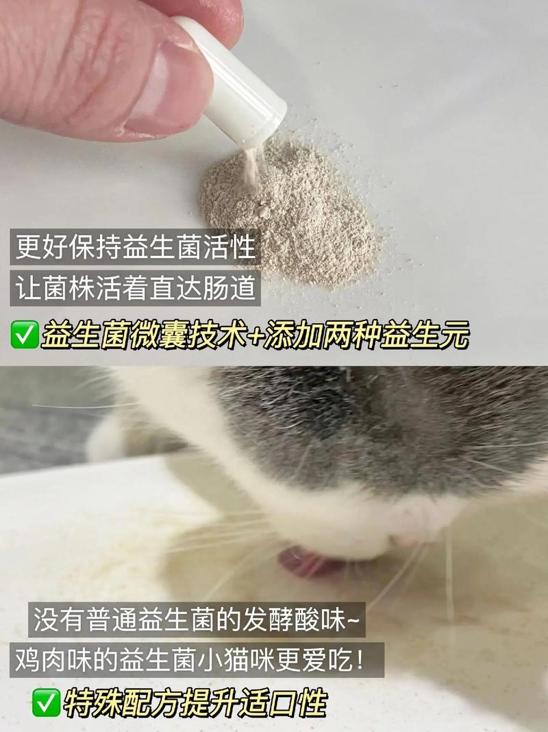 揭秘猫咪益生菌市场，价格与品质的平衡之道