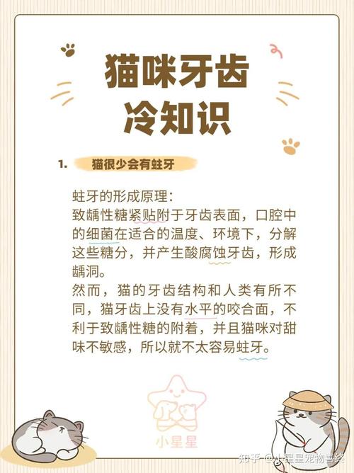 猫咪牙齿维护，掌握每月关键点