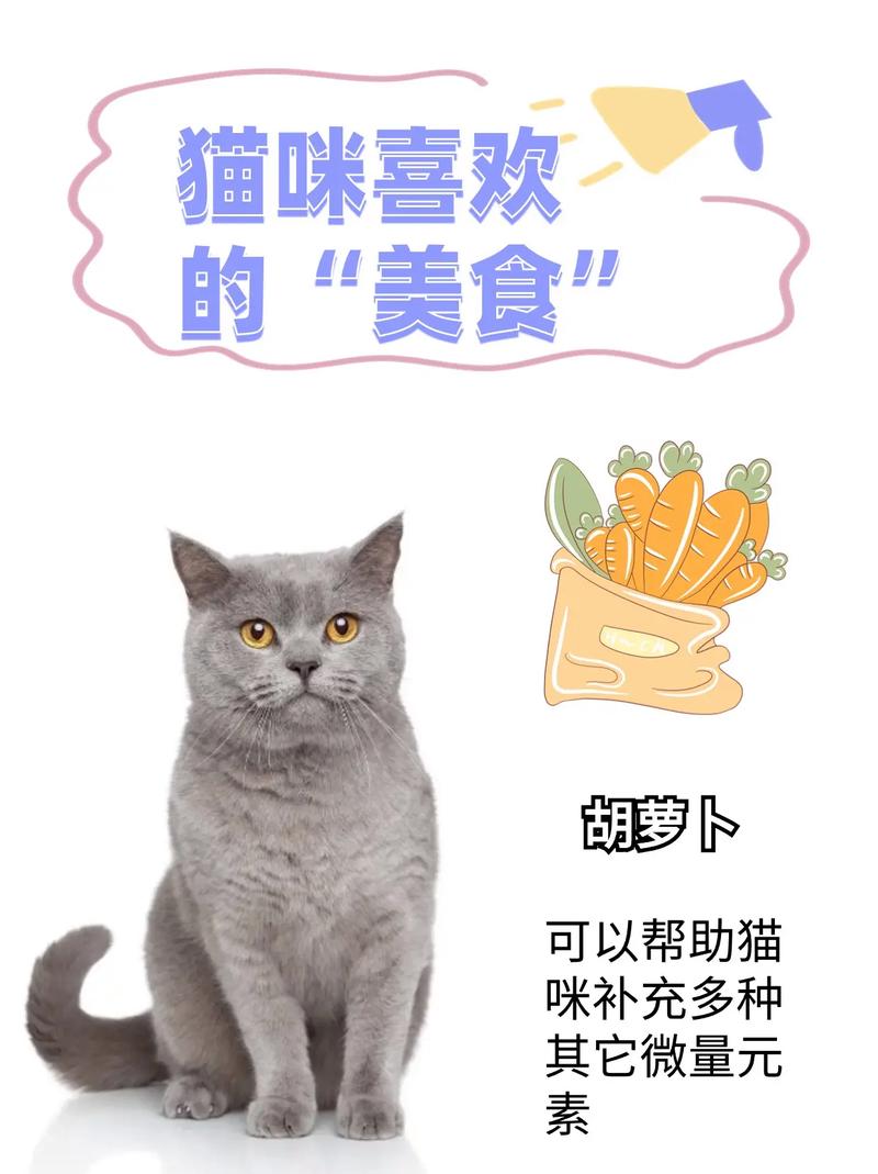 猫咪也能享用花菜，健康美味的宠物美食