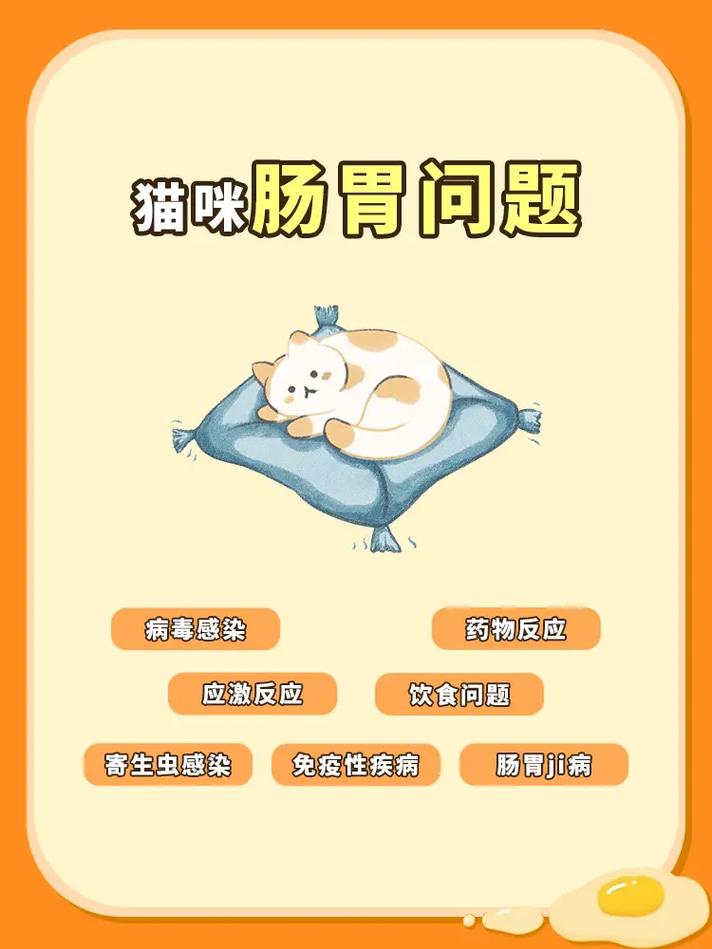 治疗猫咪肠胃吸收