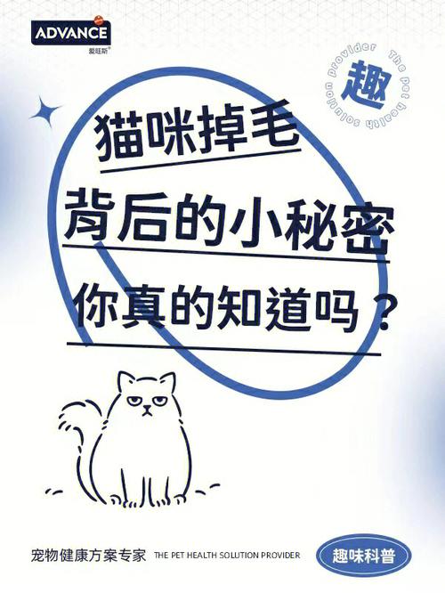 揭秘猫咪掉毛与肠胃健康的秘密