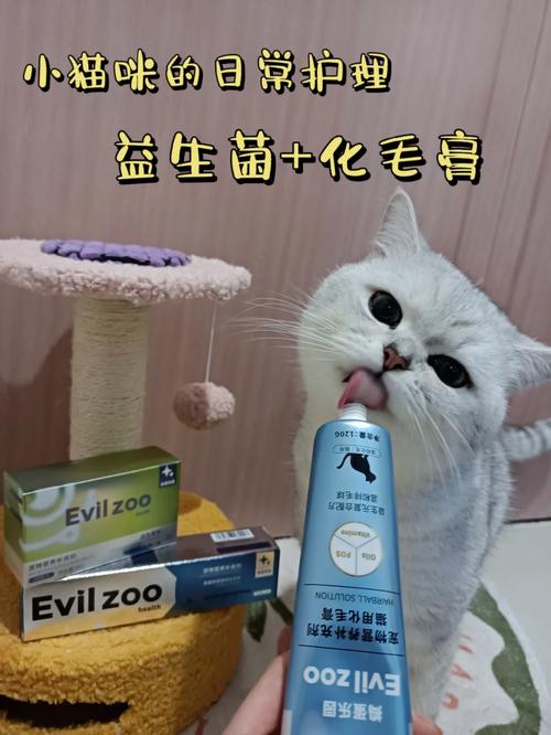 猫咪专用思密达，科学呵护毛孩子肠胃健康