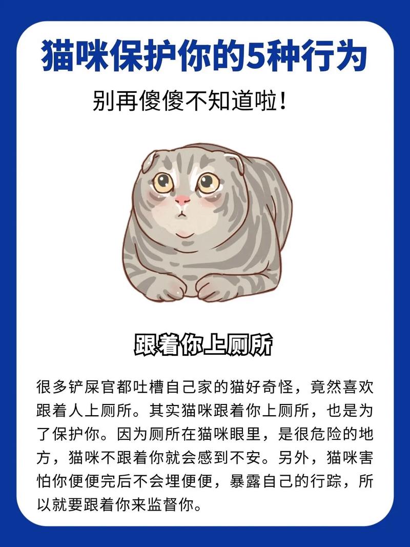 猫咪的颤抖背后，探索它们后腿抖动的神秘原因