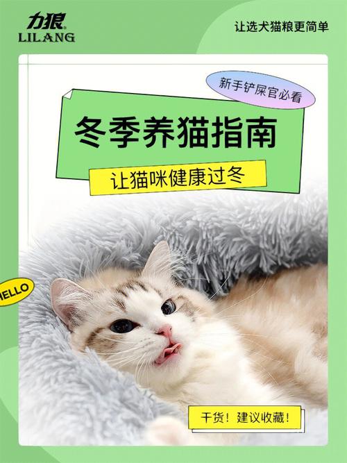 猫咪健康防护指南——有效预防真菌感染