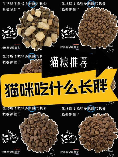 猫咪能吃羊肉吗？——揭秘猫粮中的蛋白质来源