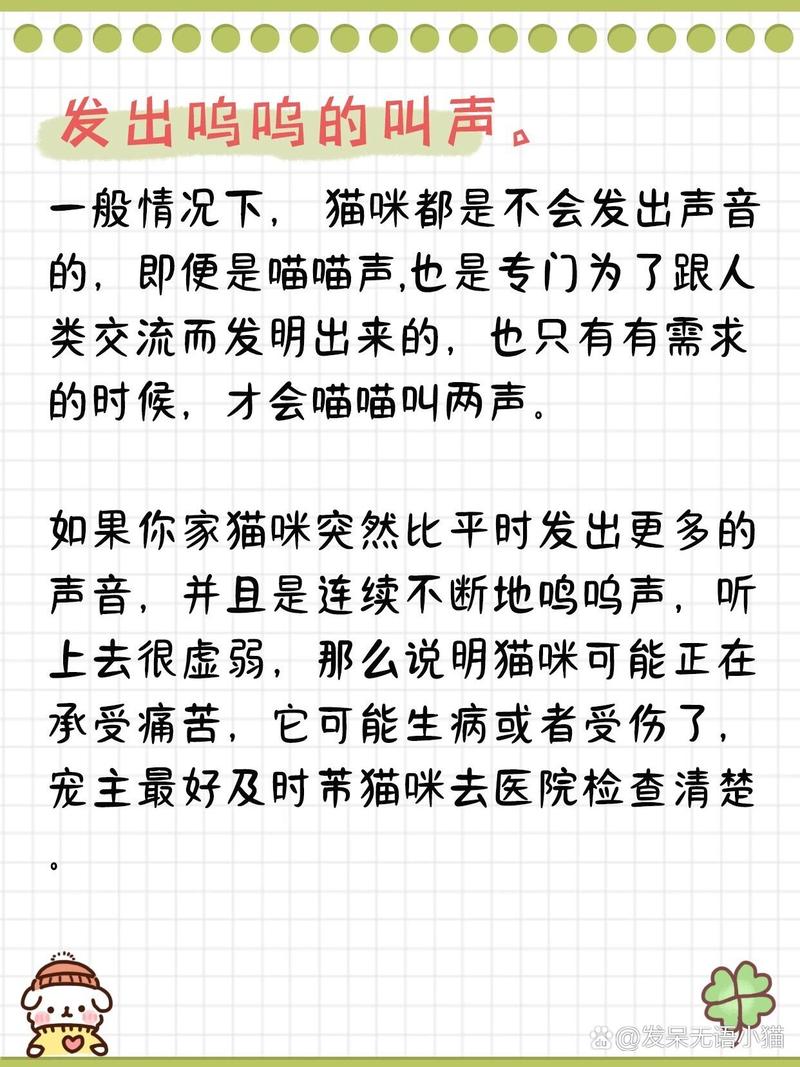 猫咪在身上的颤抖，如何理解它们的求救信号