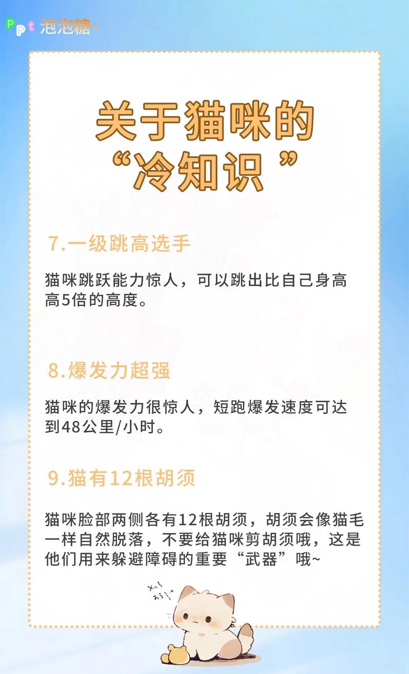 揭秘猫咪的美食秘籍——为你家的毛孩子挑选最佳食物