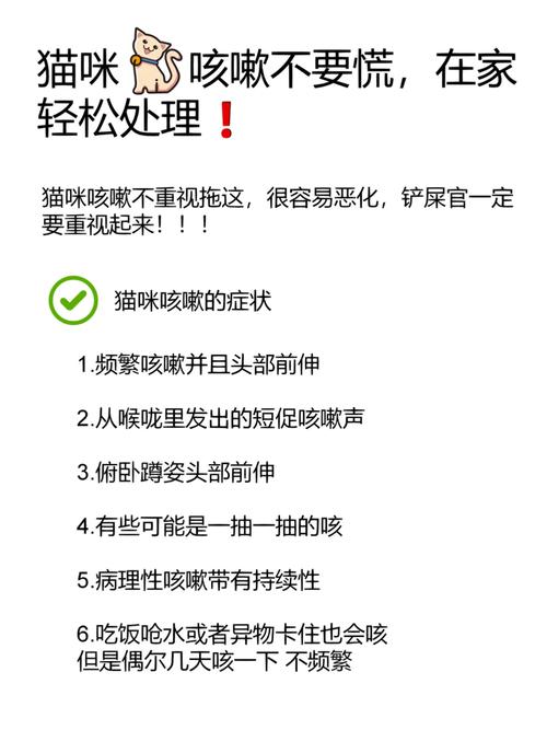 猫咪咳嗽的那些事儿，了解常见原因与护理方法