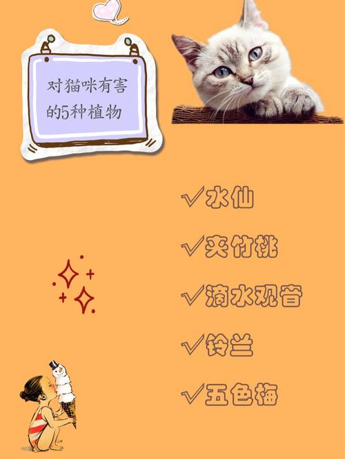 猫咪无毒植物——探索猫咪与植物的和谐共处