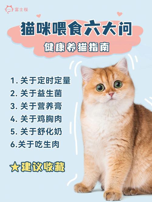 猫咪的饮食与健康，识别和避免常见缺乏症