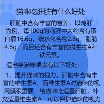 猫咪肝脏与肾脏功能检测，了解生化指标，守护毛孩健康