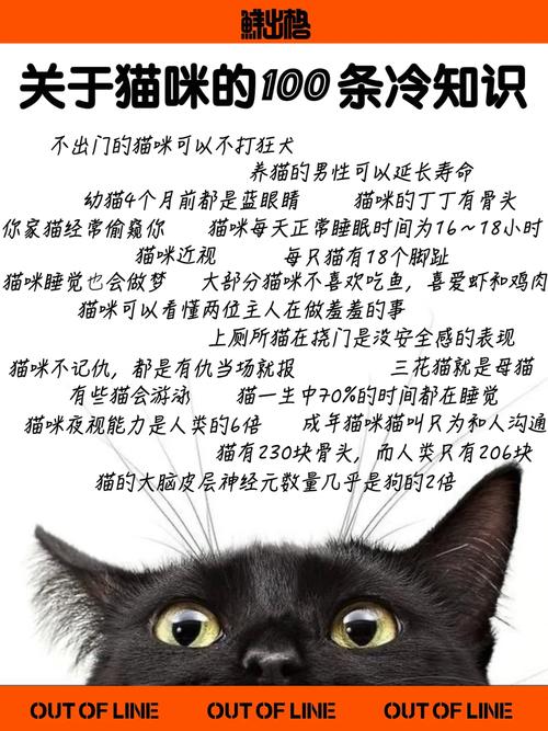 从0到1，猫咪的技能训练秘籍