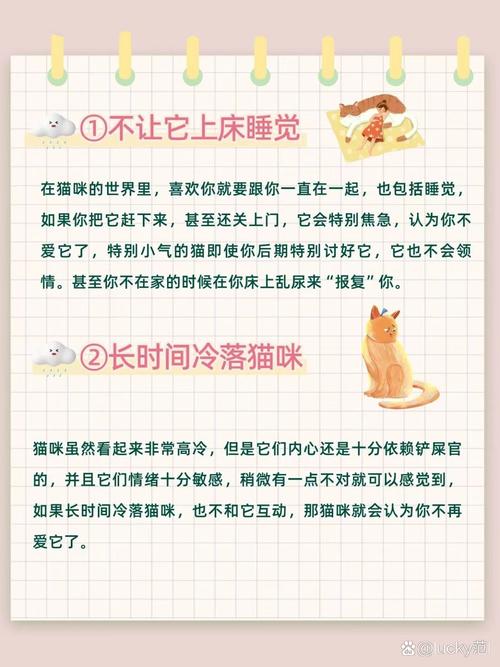 猫咪的家，为什么不让它们上床？