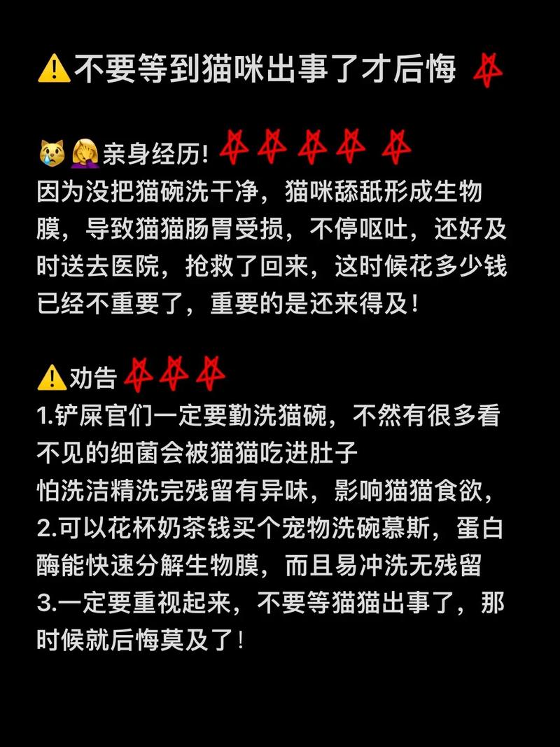 猫咪生病了，如何为毛孩子提供及时的关爱