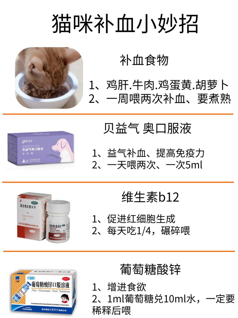 猫咪贫血与呼吸问题，常见症状解析