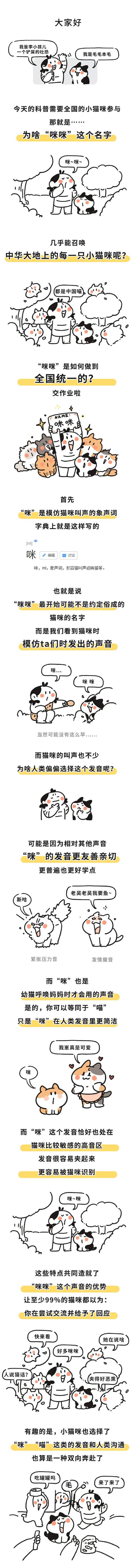 猫咪的呼唤——解读为何它最近老是叫