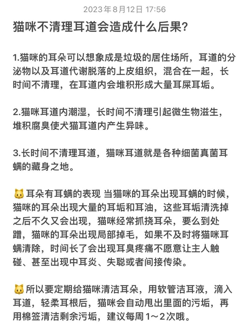 揭秘猫咪耳朵的奥秘，如何聆听世界的每一处声音