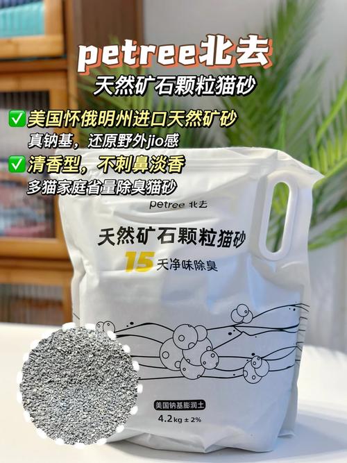 猫咪肾炎，常见症状与护理要点