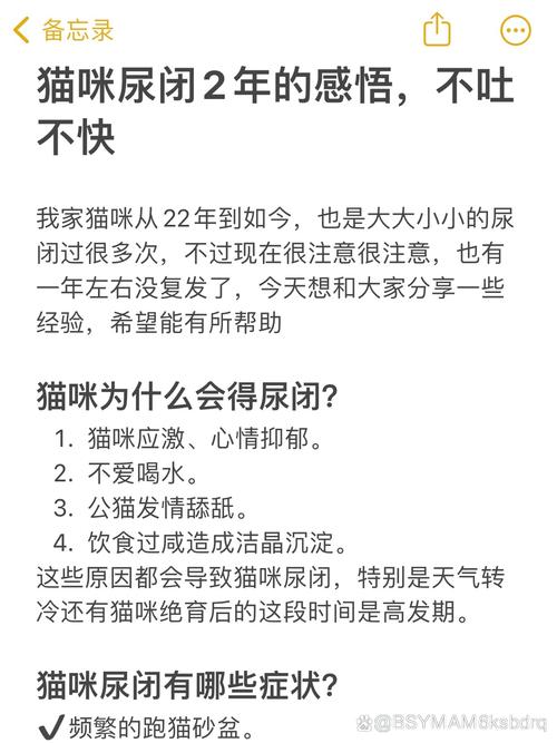 猫咪为何喝水多且频繁小便？解析饮水与尿频的秘密