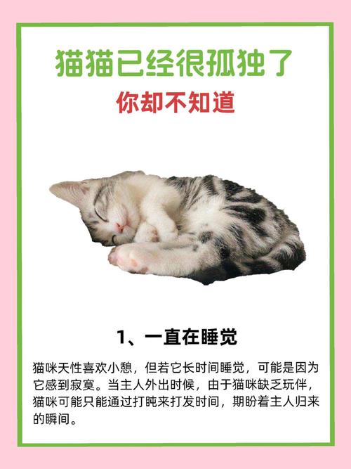 揭秘猫咪体重暴增背后的秘密