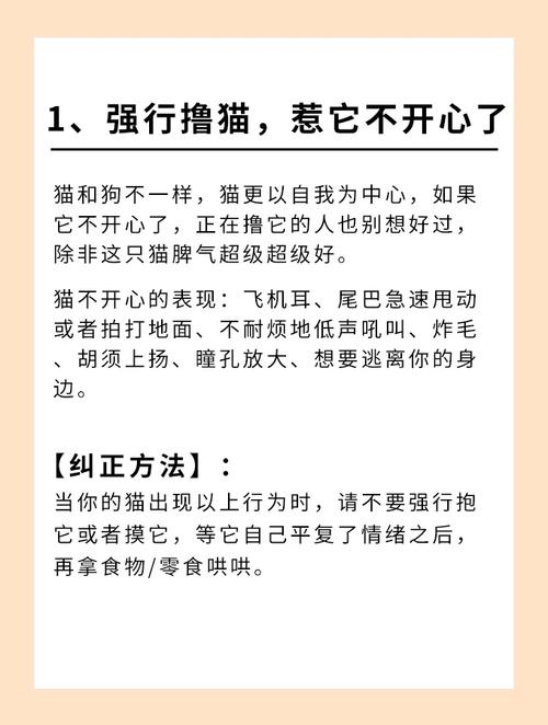 猫咪为何总是喜欢挠人？揭秘背后的秘密