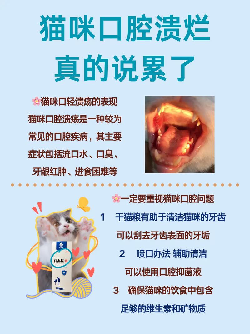 猫咪口腔黏膜脱落，了解症状与应对策略