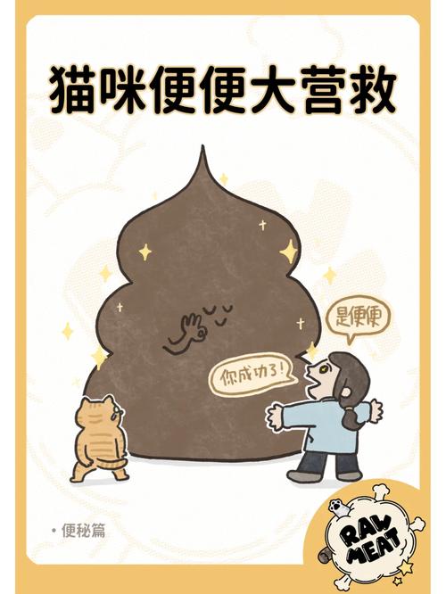 揭秘猫咪呕吐与便秘背后的秘密